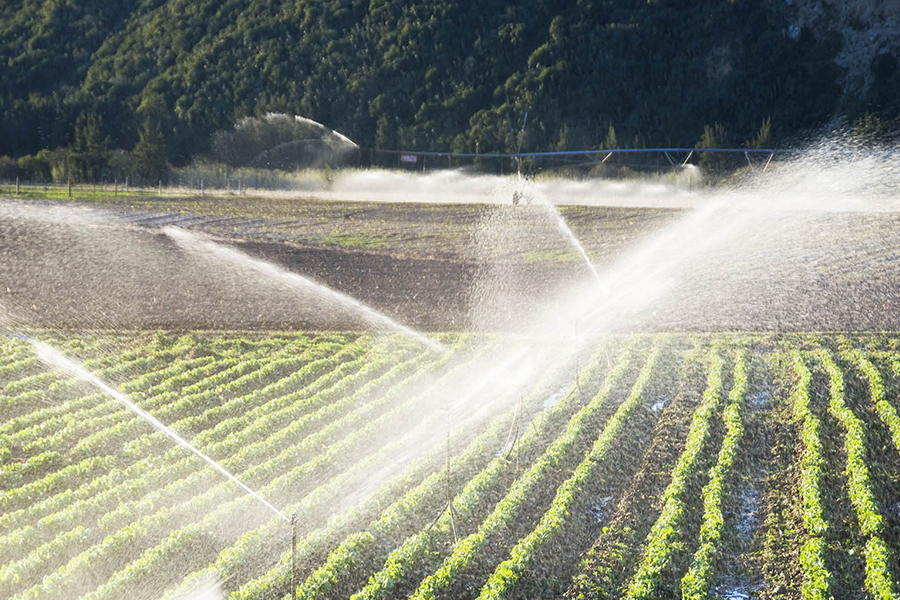 Agrarische automatisering