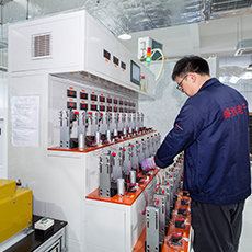 Motorische veroudering